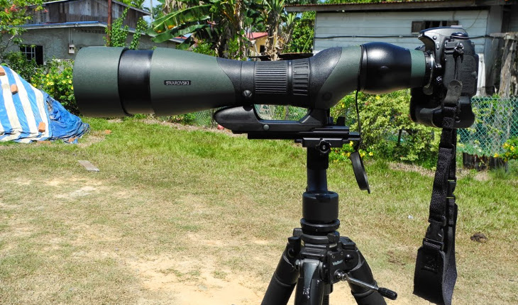 Spotting scope mounted on camera