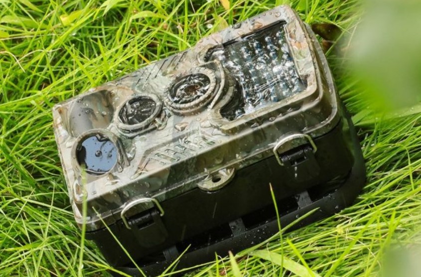 How do Trail Cameras Work An Overview and Tips for Effective Usage