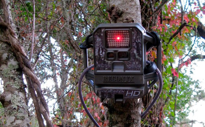 Trail cam with hd camera