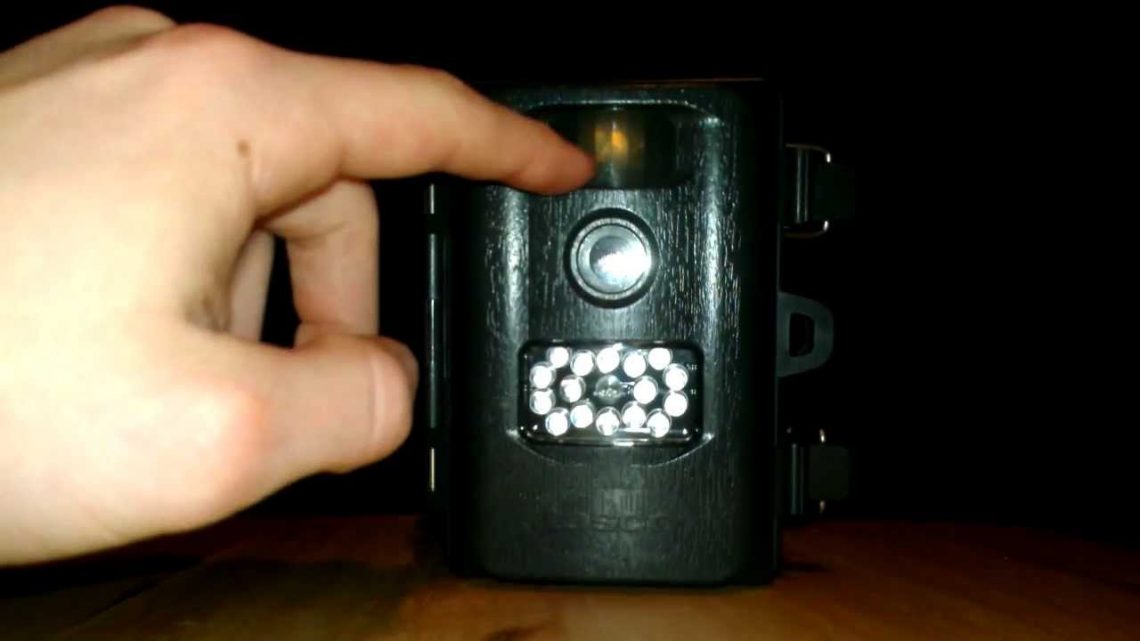 How do Trail Cameras Work An Overview and Tips for Effective Usage