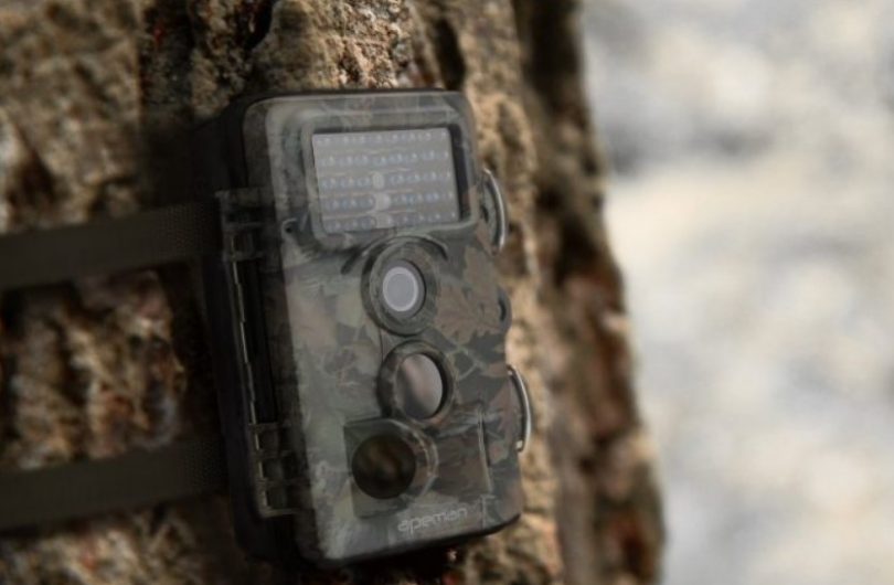 How do Trail Cameras Work An Overview and Tips for Effective Usage