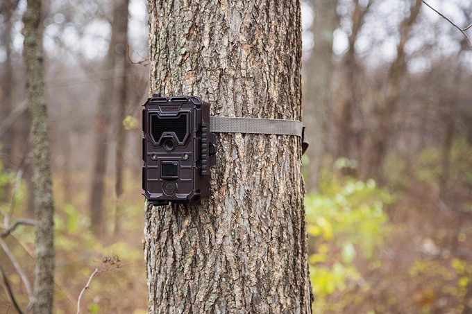 Cellular Trail Camera