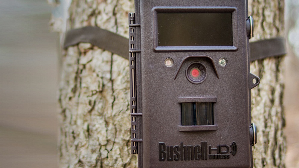 Best Cellular Trail Camera Top Picks and Buying Guide by Expert