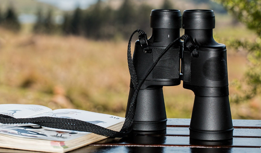 best compact binoculars under 100