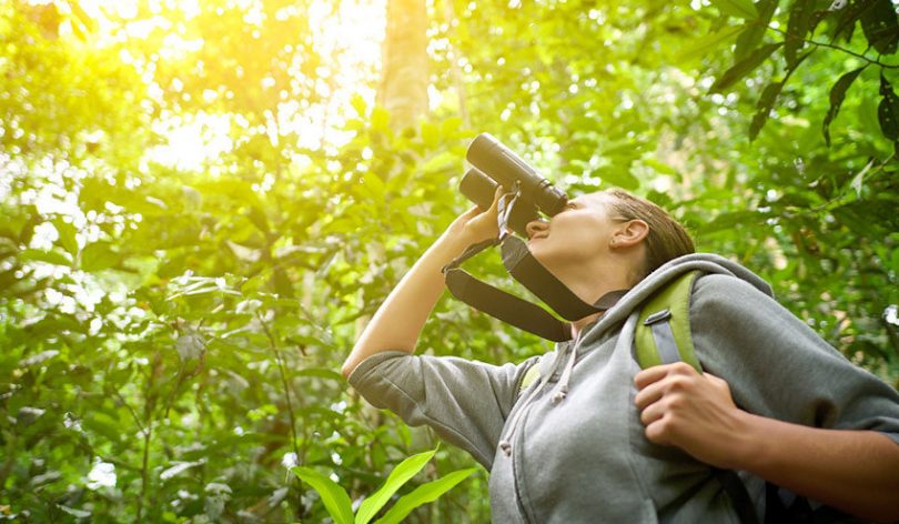 Binoculars for bird-watching