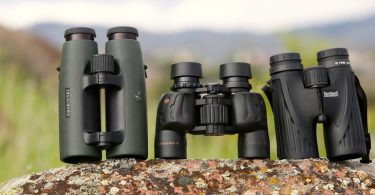 Set of birding binoculars