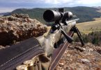 Rifle and scope