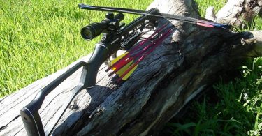 crossbow with scope