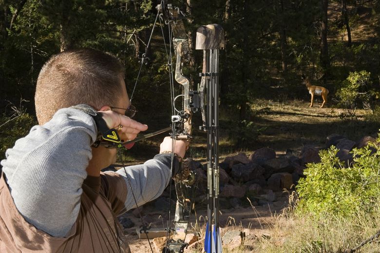 aiming at animal with bow