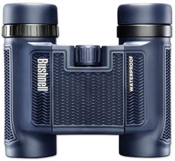 Bushnell 138005 H2O Binoculars