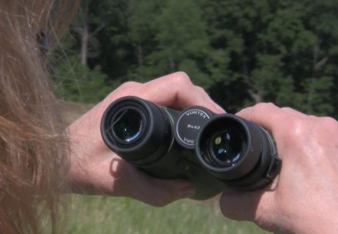 holding binoculars