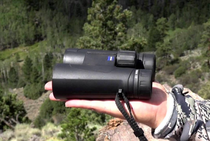 Zeiss Terra ED 10x42 Binoculars